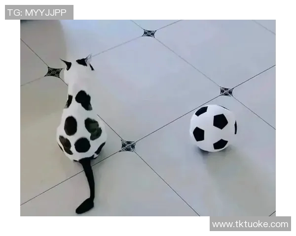 足球明星与猫咪的亲密关系谁是养猫最多的球场巨星