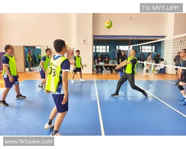 排球盛宴：深入剖析杭州排球队的默契与协作精神